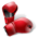 boxingwear
